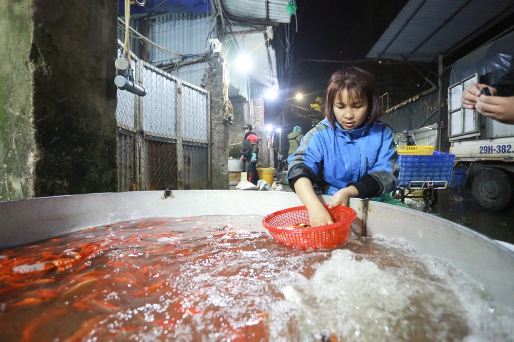 ong-cong-ong-tao (9).jpg