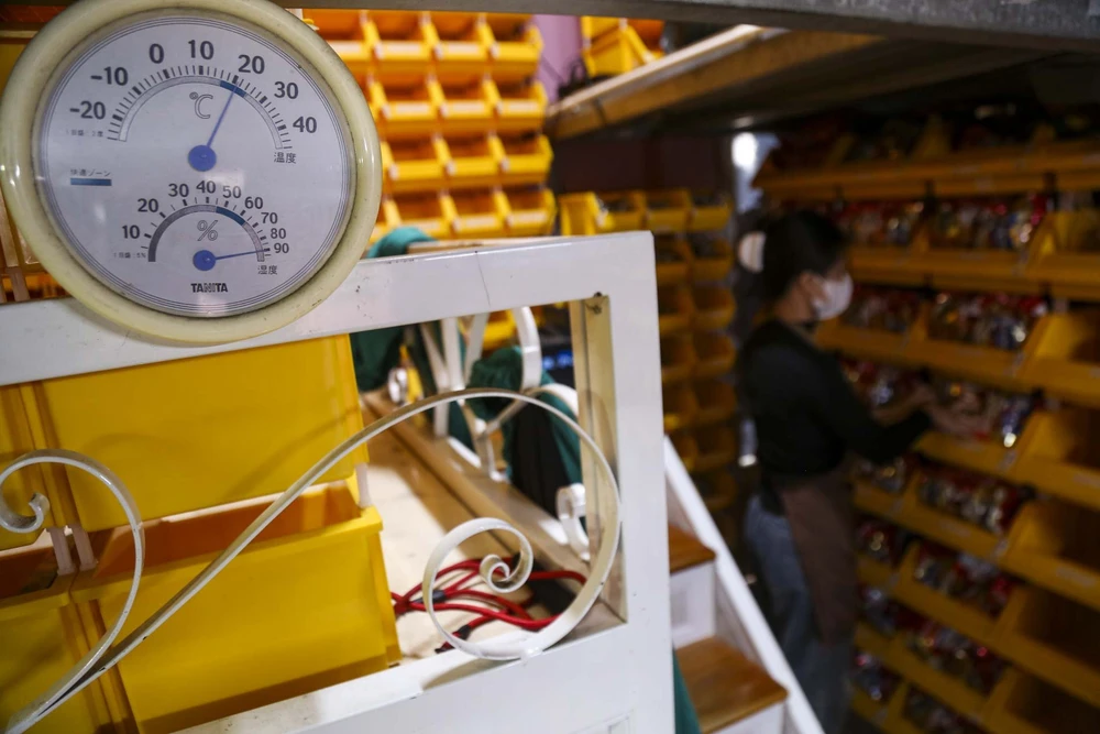 trong-thu-cung (14).jpg