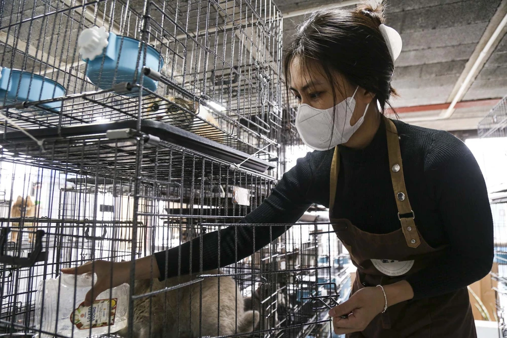 trong-thu-cung (4).jpg