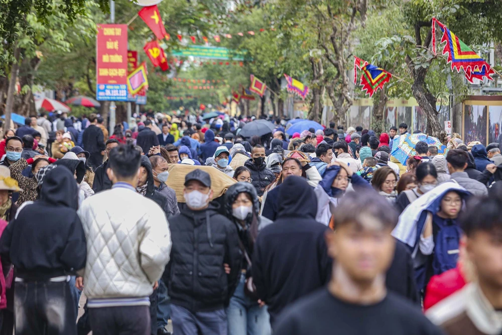 le-ho-co-loa (5).jpg