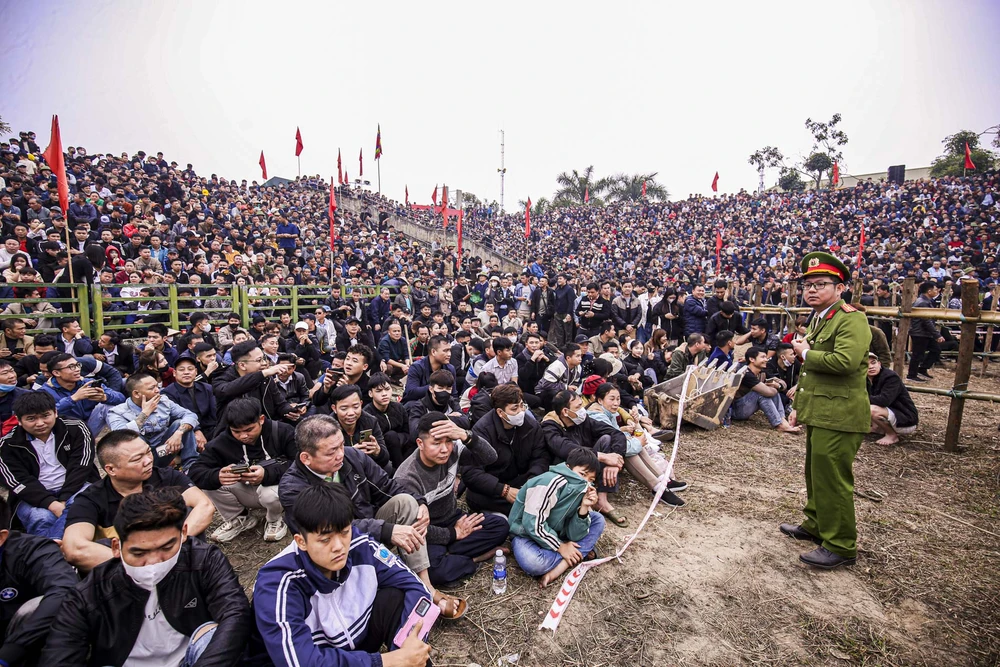 Do khán đài không đủ sức chứa, khán giả đã tràn xuống sân phía dưới để xem trâu chọi, lực lượng chức năng được huy động để hướng dẫn người dân, bảo đảm tuyệt đối an toàn, tránh những sự cố đáng tiếc có thể xảy đến.