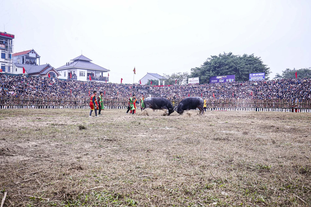 Các trận đấu diễn ra sôi nổi, kịch tính, mang đến cho du khách những màn giao đấu đẹp mắt, ấn tượng.
