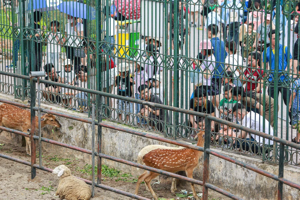 vuon-thu-ha-noi (5).jpg