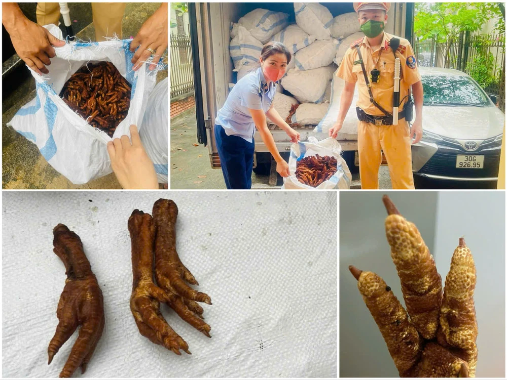 hon-1-tan-chan-ga (9).jpg