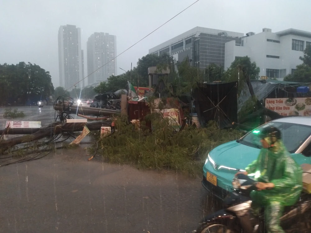 con-mua-giong (12).jpg