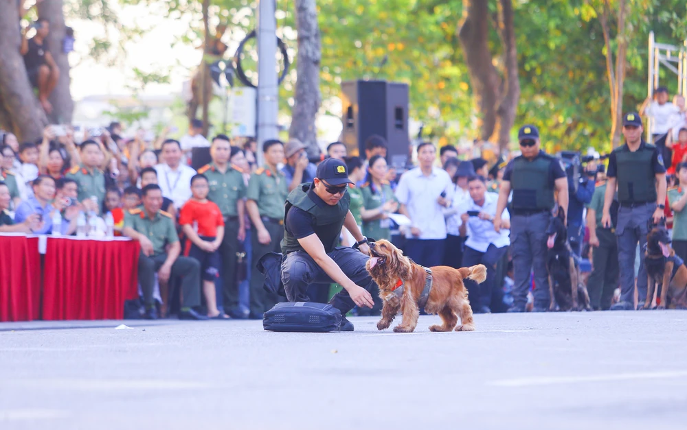 luc-luong-dac-nhiem (32).JPG