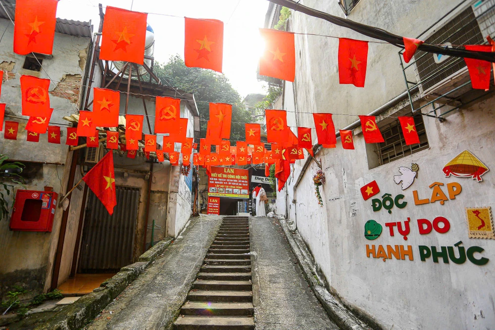 co-do-sao-vang (26).jpg