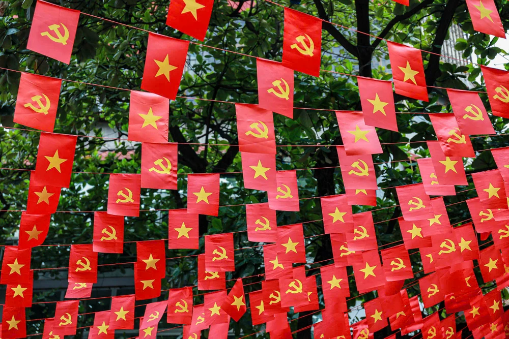 co-do-sao-vang (37).jpg