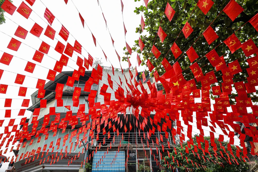 co-do-sao-vang (6).jpg