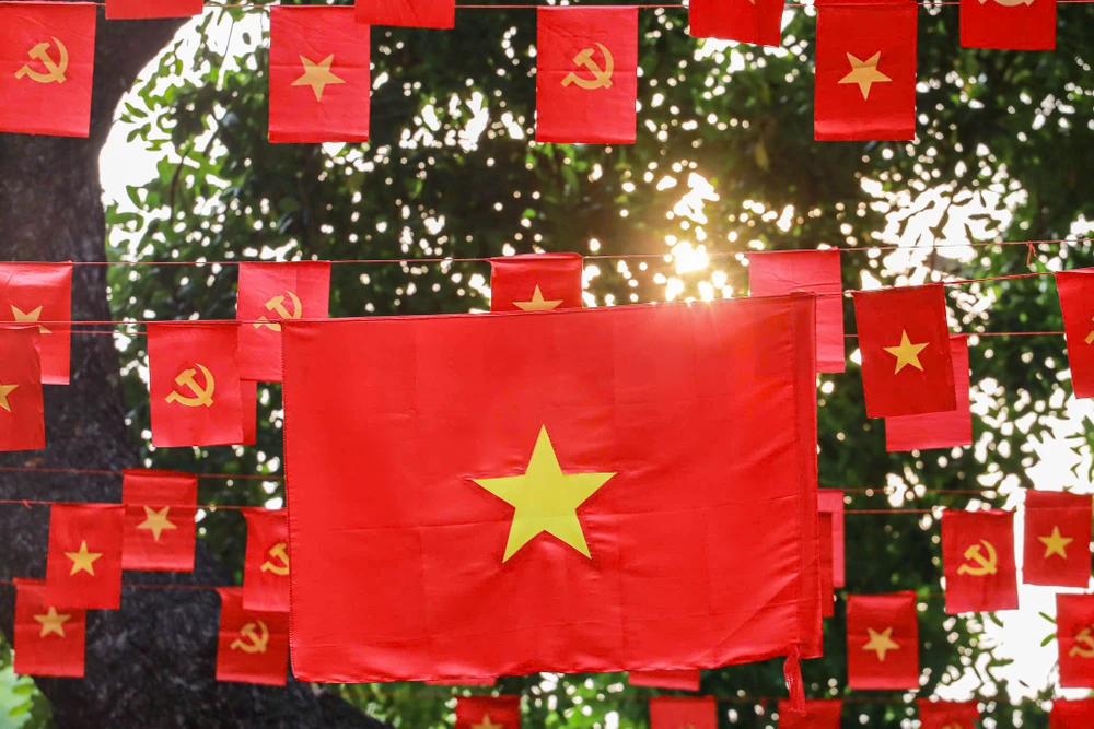 co-do-sao-vang (9).jpg