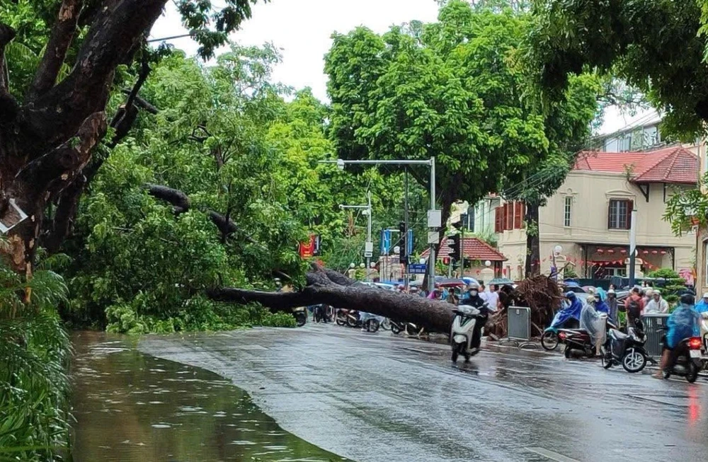 chien-truong-mien-nam (2).jpg