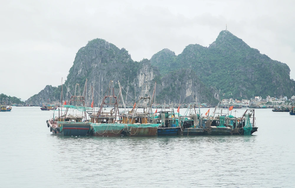 Bão số 9 tan, nhiều hoạt động của người dân đã trở lại bình thường