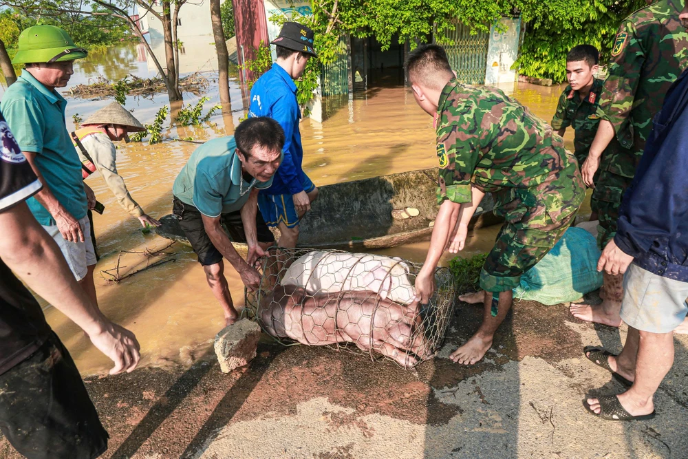 dong-nuoc-lu (19).jpg