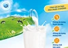FrieslandCampina Việt Nam: TOP 100 DN đóng góp ngân sách