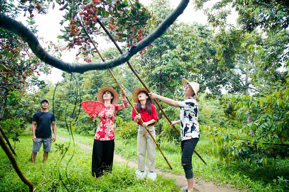 Hậu ra mắt MV mới Gin dắt tay Han Sara về Bến Tre ăn trái cây ảnh 7