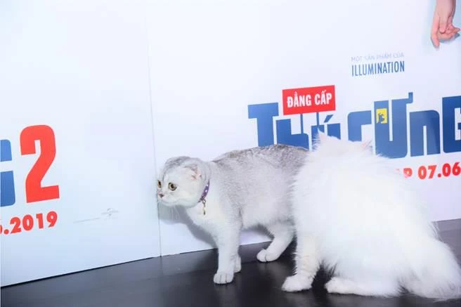 Puka và Jun thành bộ đôi hoàn hảo trong 'Đẳng cấp thú cưng 2' ảnh 15