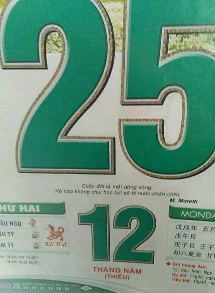 Đen Vâu là thánh đoán đề thi Ngữ văn 2019? ảnh 8