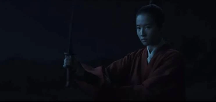 Hoa Mộc Lan phiên bản 2020 tung trailer cực hoành tráng ảnh 3