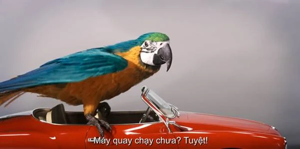 John Cena mời Robert Downey Jr. vắt sữa trong trailer mới ảnh 2