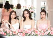 Dàn hậu kêu gọi bạn nữ dự thi Hoa hậu Việt Nam 2020
