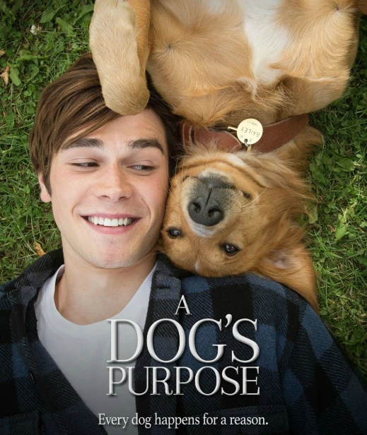 KJ Apa giọng ca ngọt ngào đến từ xứ sở kiwi ảnh 5