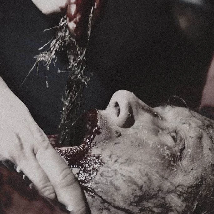 Điểm mặt những khu rừng kinh dị gây ám ảnh màn ảnh rộng ảnh 5