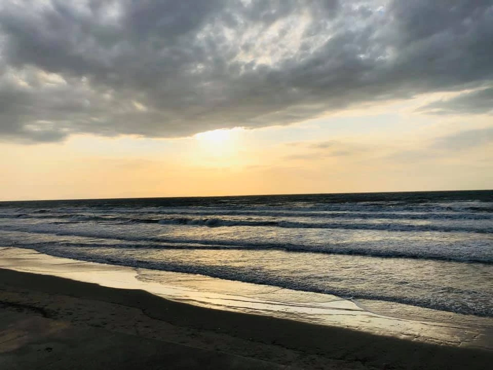 Tết Dương lịch 2021 người dân TP.HCM đi vui chơi ở đâu? ảnh 8