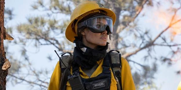 Tốp 5 vai diễn vất vả của Angelina Jolie ảnh 7