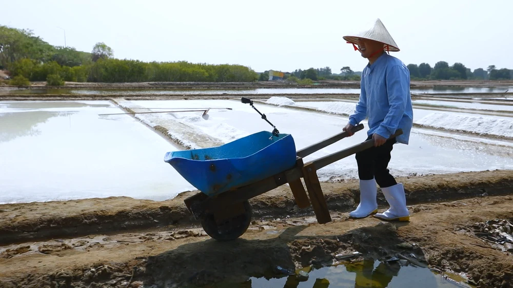 Don Nguyễn khéo léo đẩy muối qua các bờ ruộng.