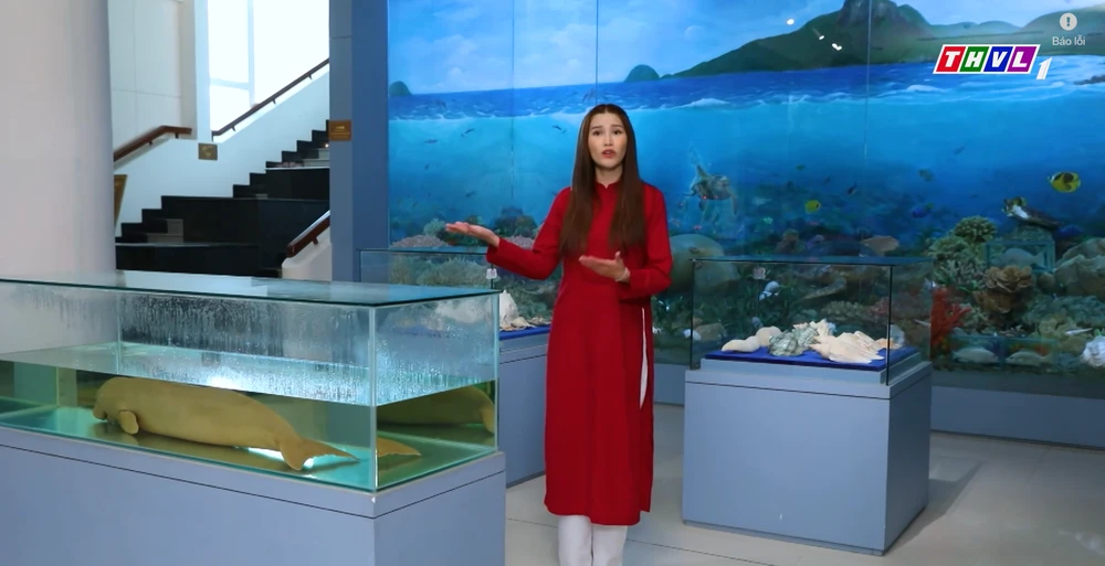 Những hiện vật bên trong bảo tàng.