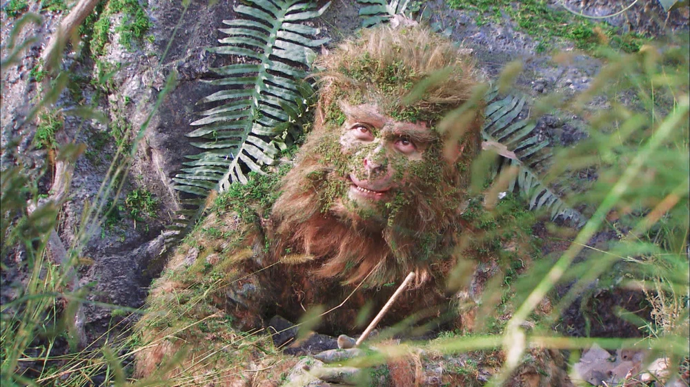 Sinh vật lông lá tựa loài khỉ. Sinh vật lông lá tựa loài khỉ.