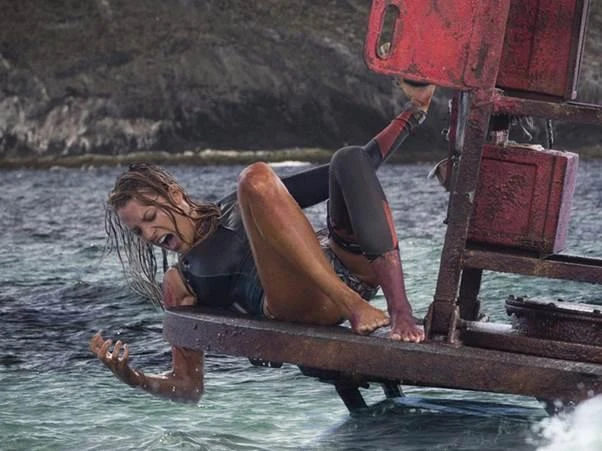Hình ảnh trong phim The Shallows.