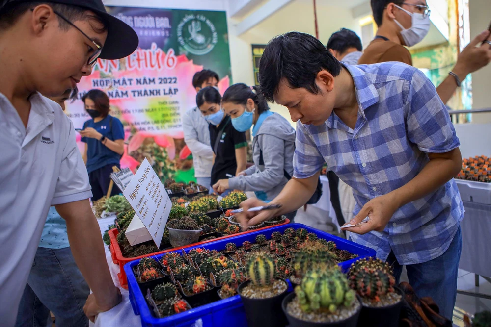 Hội chợ thu hút nhiều chủ vườn đến từ các tỉnh, thành. Hội chợ thu hút nhiều chủ vườn đến từ các tỉnh, thành.