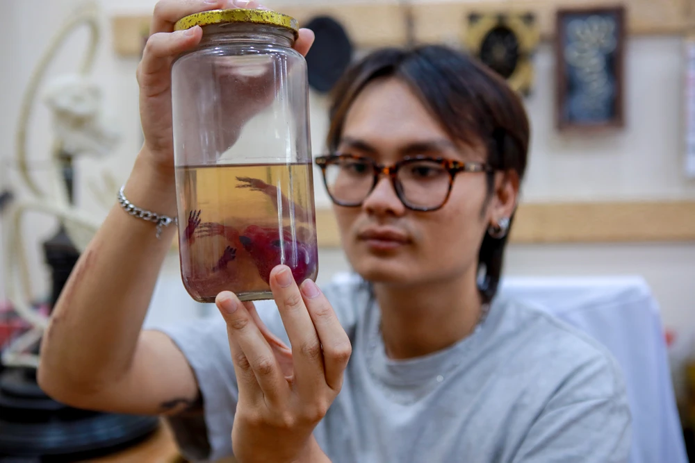 Gen z làm tiêu bản động vật thành tác phẩm nghệ thuật độc đáo