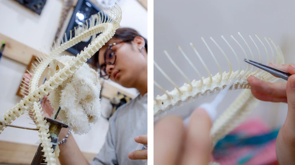 Gen z làm tiêu bản động vật thành tác phẩm nghệ thuật độc đáo