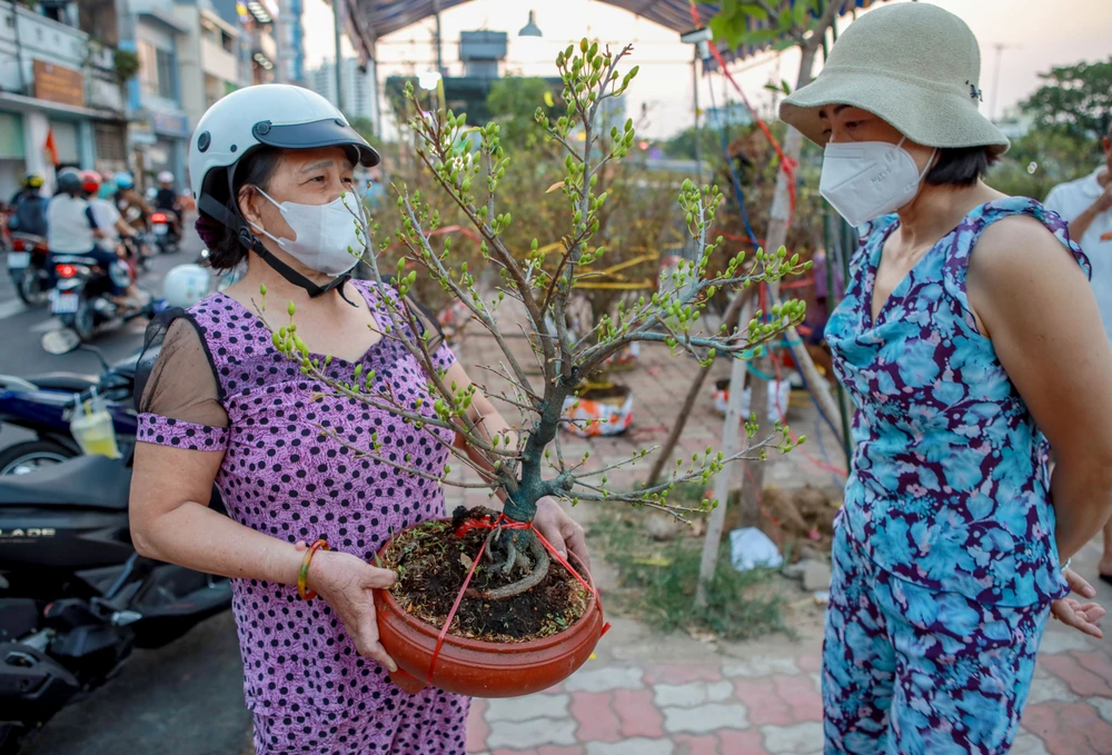 Thuyền hoa cập Bến Bình Đông, nhà vườn ngập tràn hy vọng