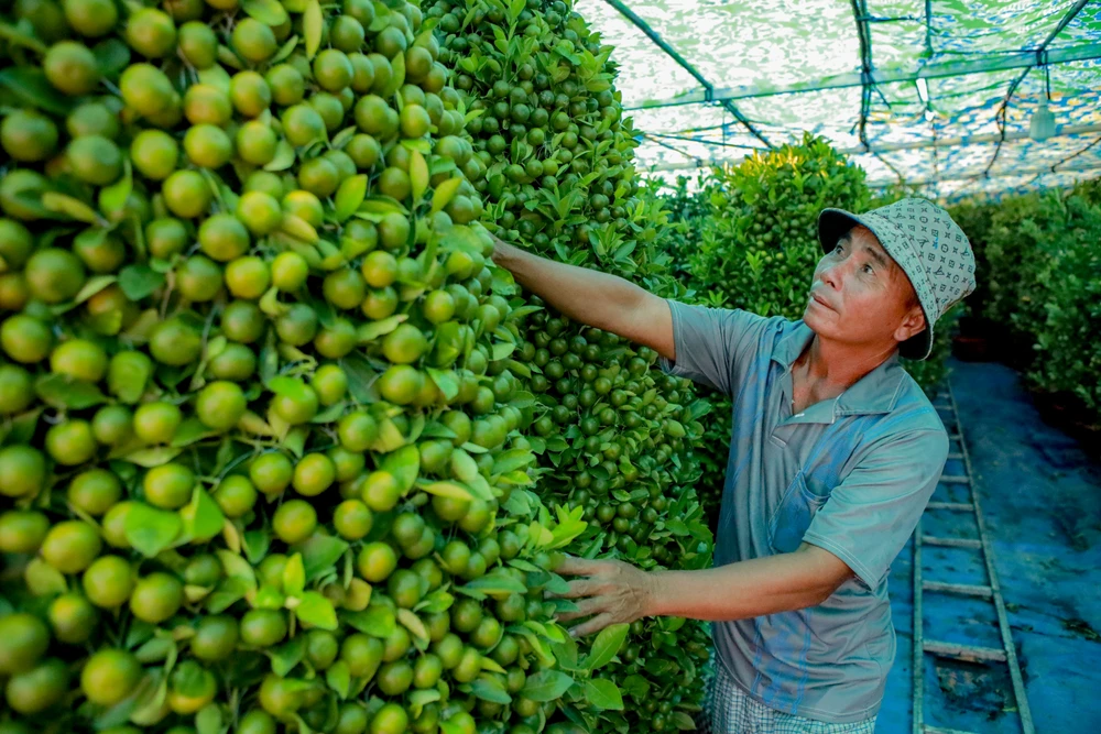 Thuyền hoa cập Bến Bình Đông, nhà vườn ngập tràn hy vọng