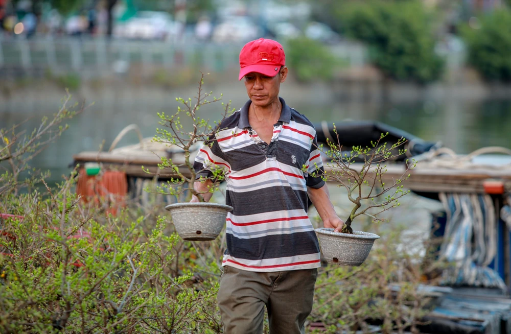 Thuyền hoa cập Bến Bình Đông, nhà vườn ngập tràn hy vọng