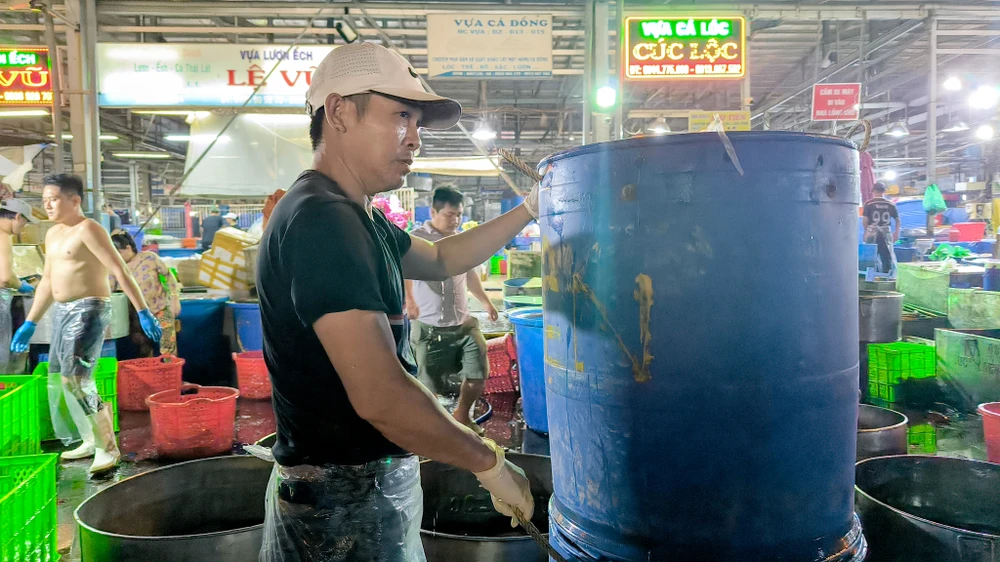 Hơn 300 tấn cá lóc đổ xuyên đêm về chợ đầu mối lớn nhất TP.HCM ngày vía Thần Tài