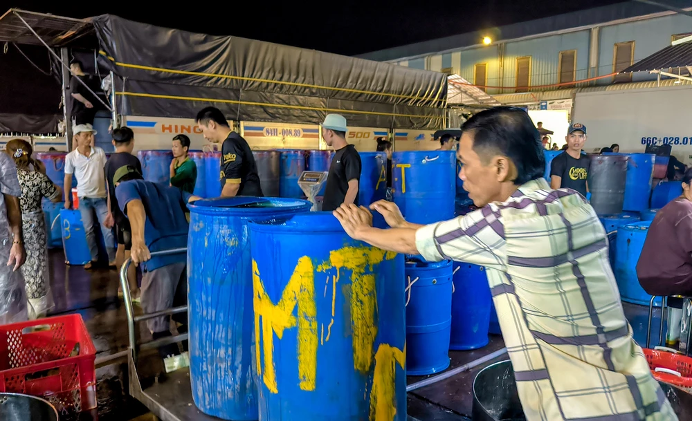 Hơn 300 tấn cá lóc đổ xuyên đêm về chợ đầu mối lớn nhất TP.HCM ngày vía Thần Tài