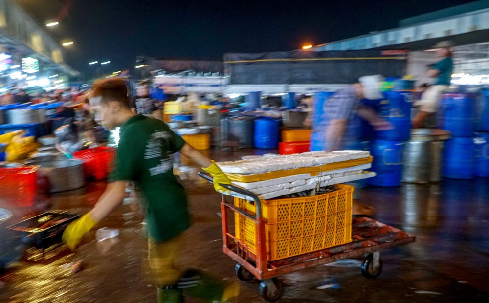 Hơn 300 tấn cá lóc đổ xuyên đêm về chợ đầu mối lớn nhất TP.HCM ngày vía Thần Tài