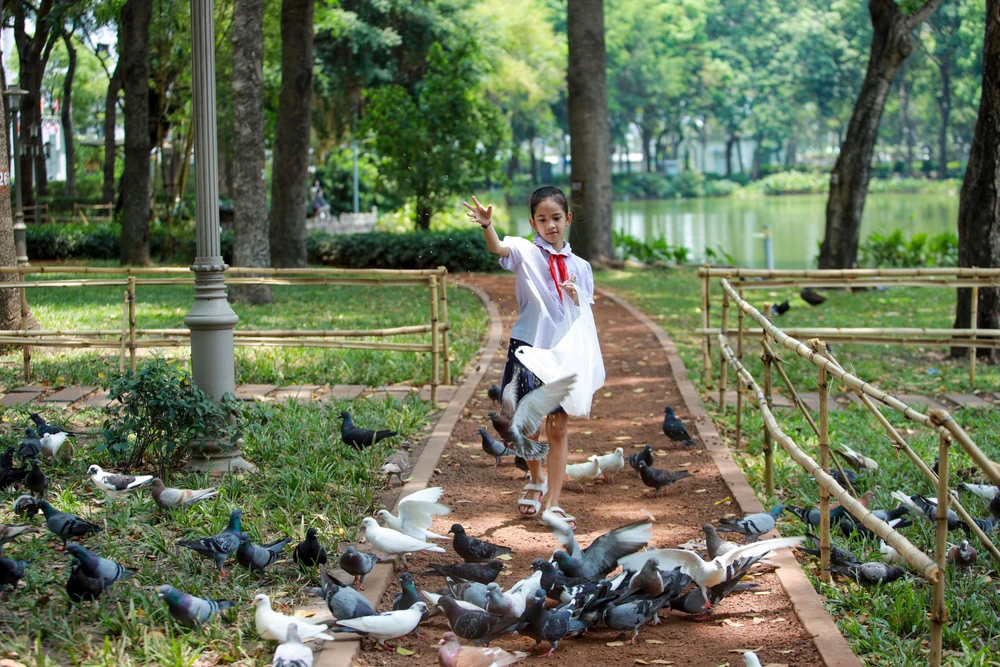 Công viên xanh mát giữa lòng Tân Phú, 'chữa lành' những ngày Sài Gòn nắng nóng