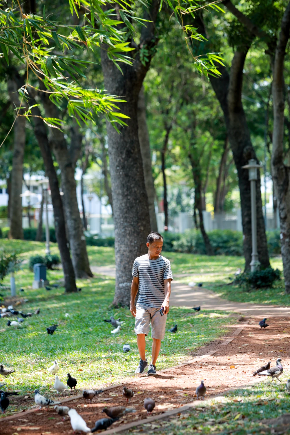 Công viên xanh mát giữa lòng Tân Phú, 'chữa lành' những ngày Sài Gòn nắng nóng
