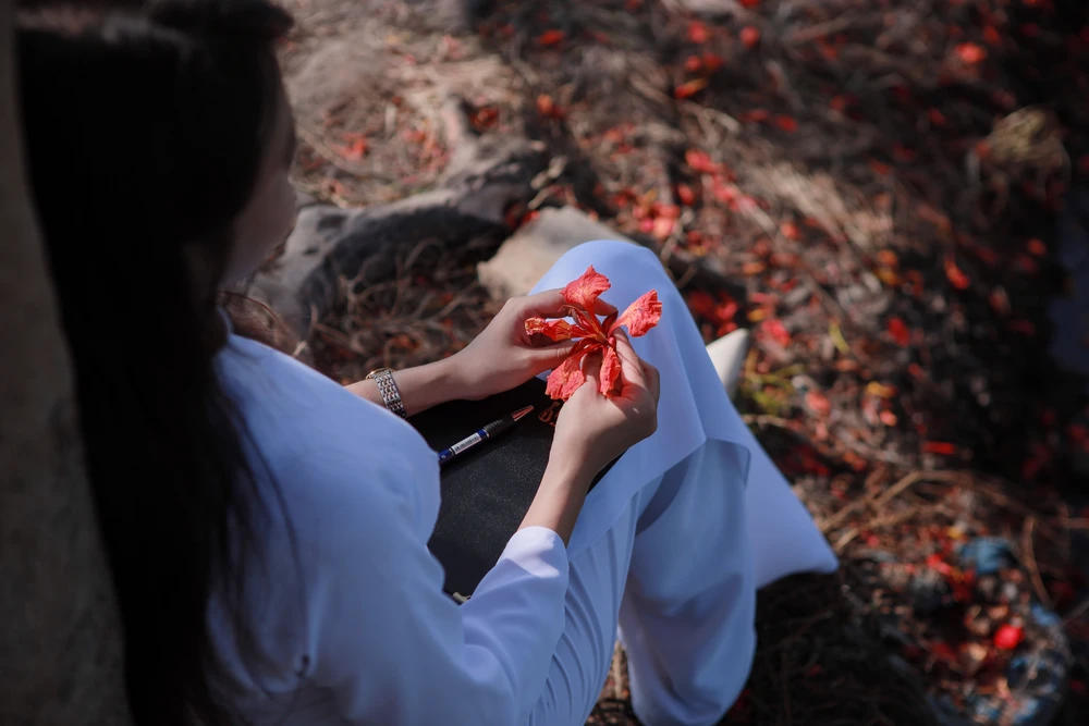 Người dân Sài Gòn ra đồng chụp ảnh 'cây phượng cô đơn'