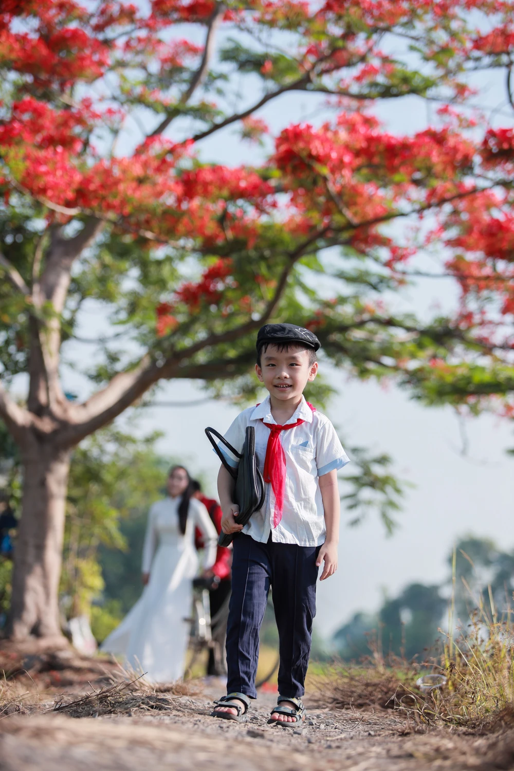 Người dân Sài Gòn ra đồng chụp ảnh 'cây phượng cô đơn'