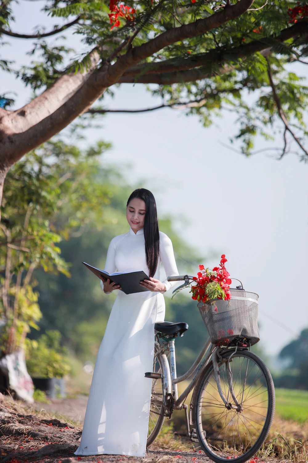 Người dân Sài Gòn ra đồng chụp ảnh 'cây phượng cô đơn'