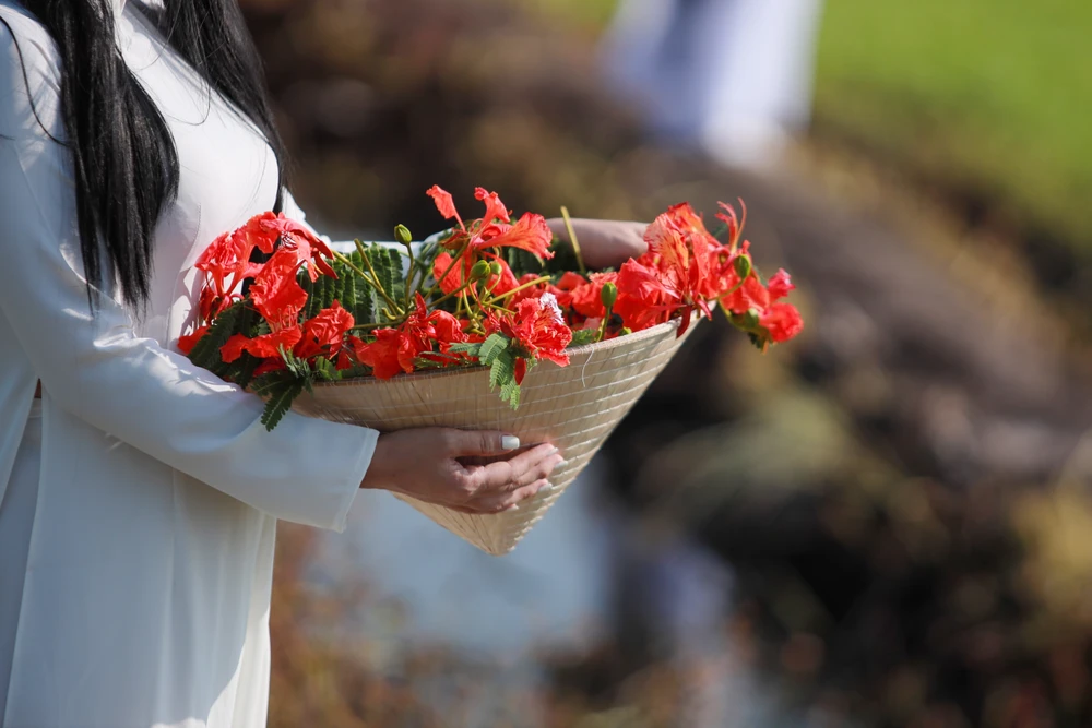 Người dân Sài Gòn ra đồng chụp ảnh 'cây phượng cô đơn'