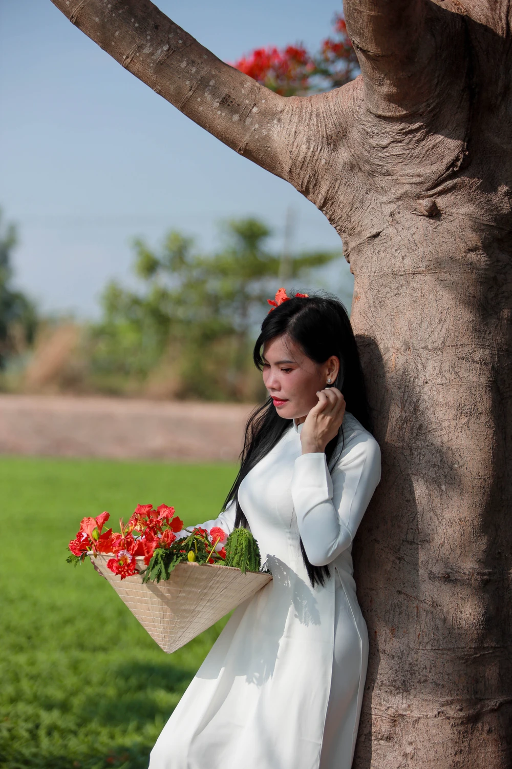 Người dân Sài Gòn ra đồng chụp ảnh 'cây phượng cô đơn'