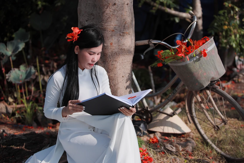 Người dân Sài Gòn ra đồng chụp ảnh 'cây phượng cô đơn'