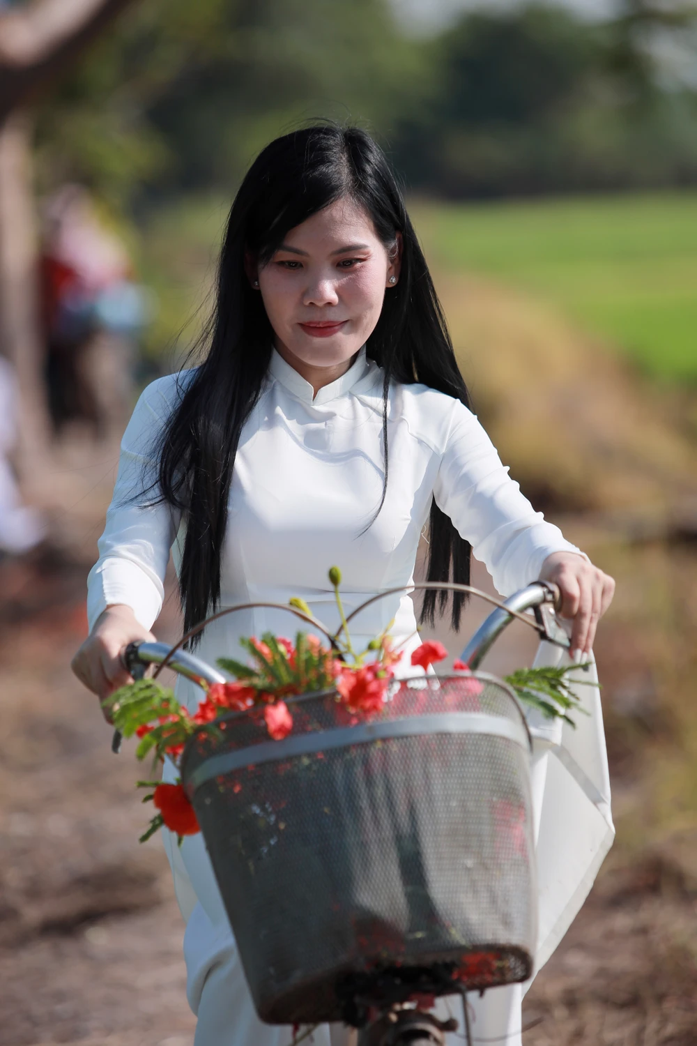 Người dân Sài Gòn ra đồng chụp ảnh 'cây phượng cô đơn'